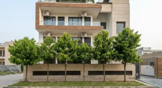 Premium 4BHK Floor for Working Professionals – Sector 56 Gurgaon